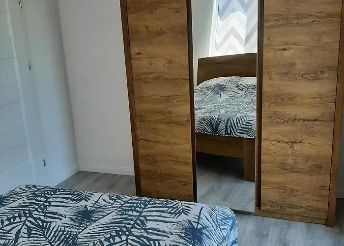 Thomas سفينويتشي